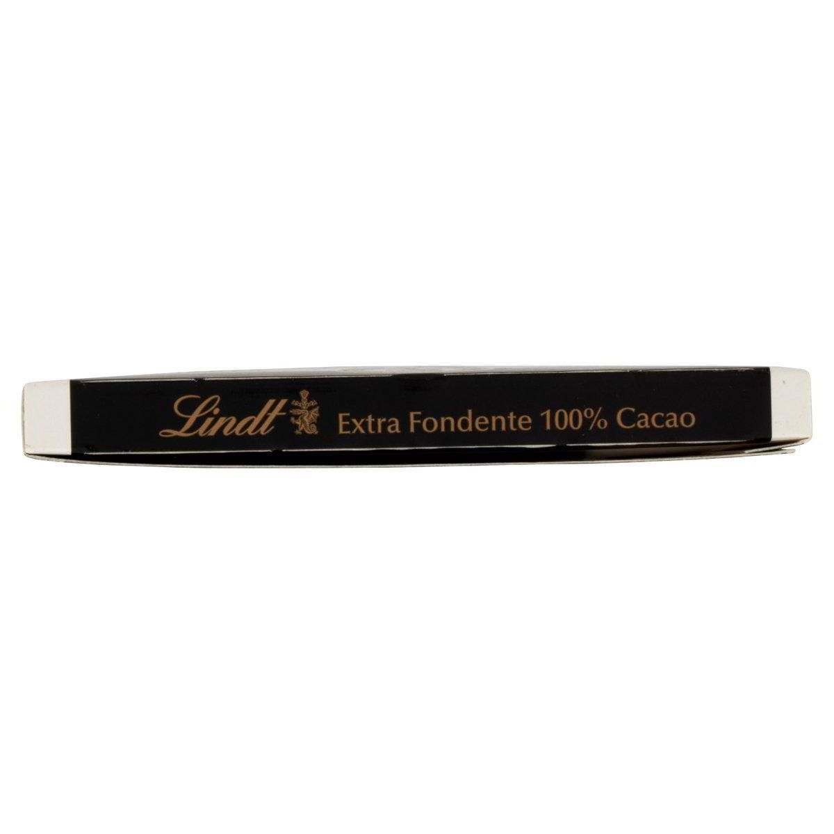 tavoletta-di-cioccolato-excellence-100-lindt-50gr-6