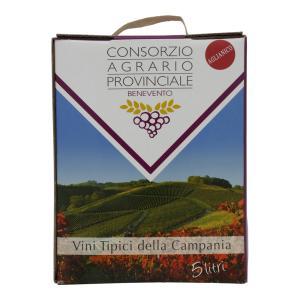 Vino bianco falanghina igp b.box  5 lt.