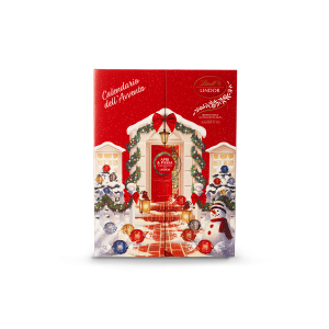 Praline di cioccolato lindor calendario avvento  299gr